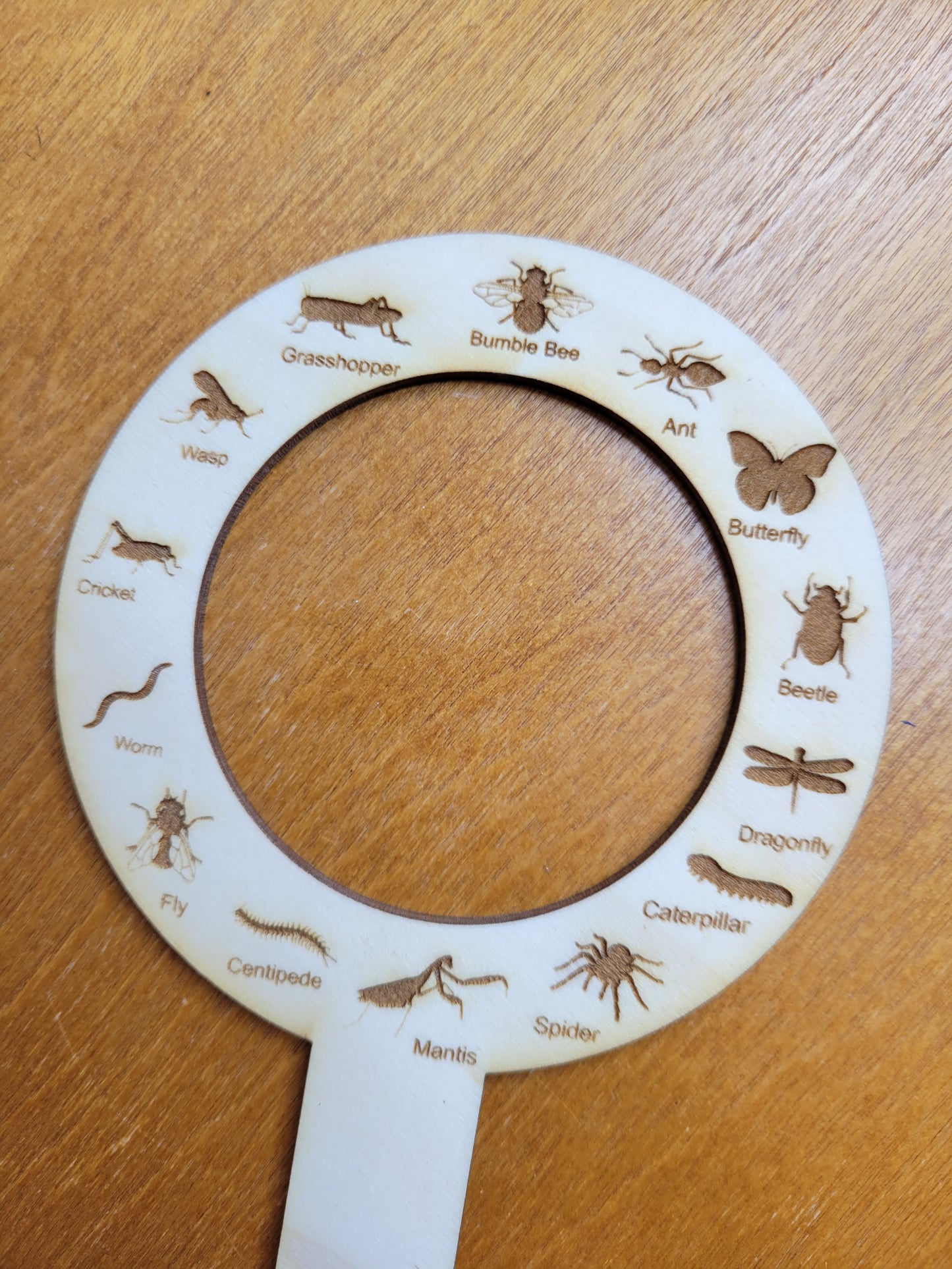 Bugs and Tracks Trackers