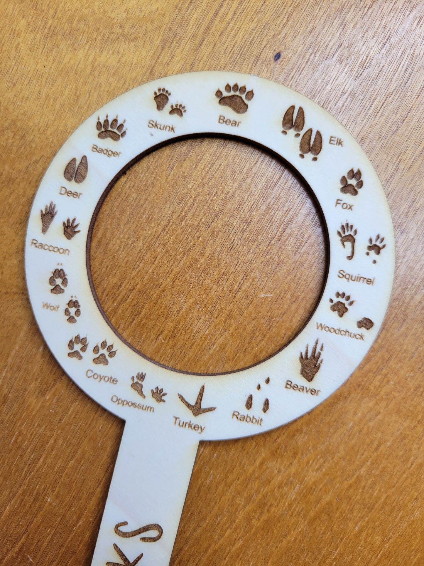 Bugs and Tracks Trackers