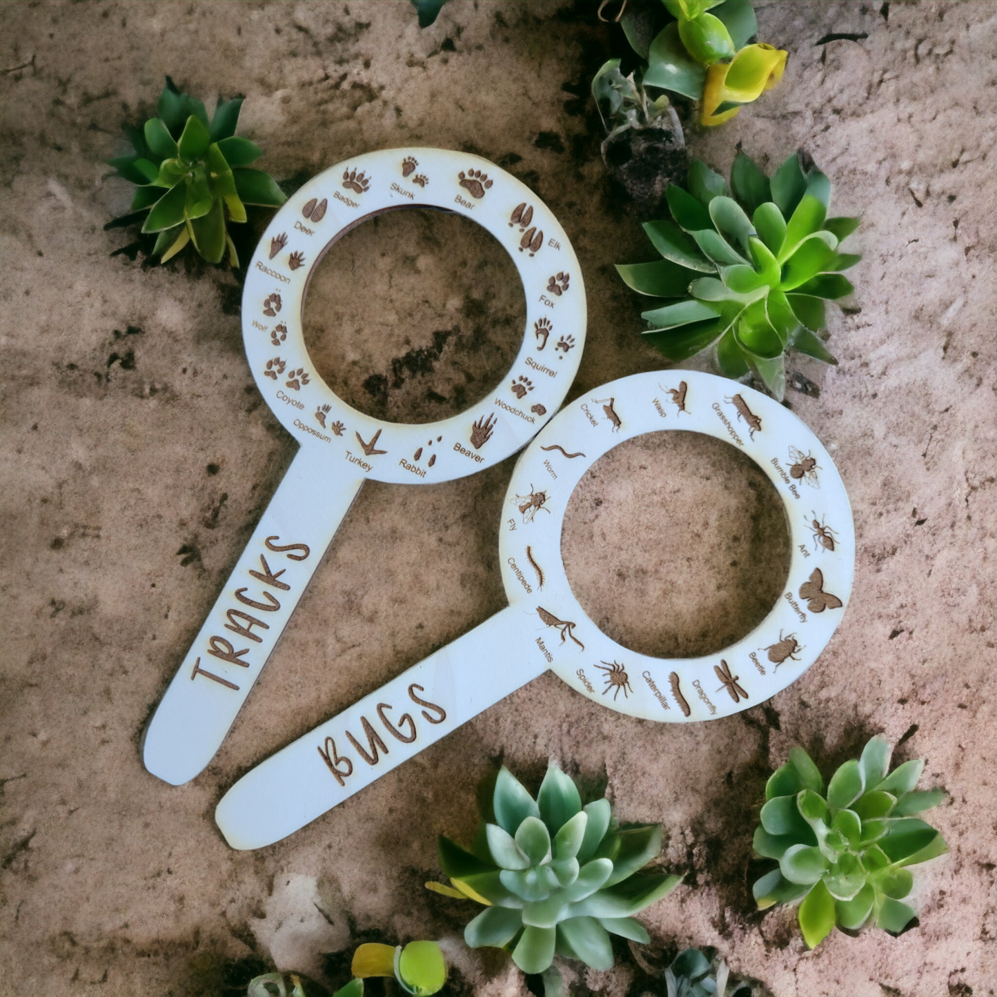 Bugs and Tracks Trackers