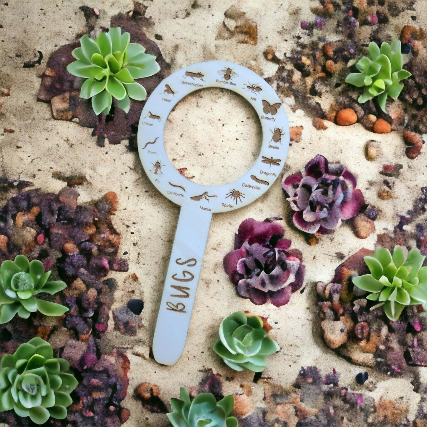 Bugs and Tracks Trackers