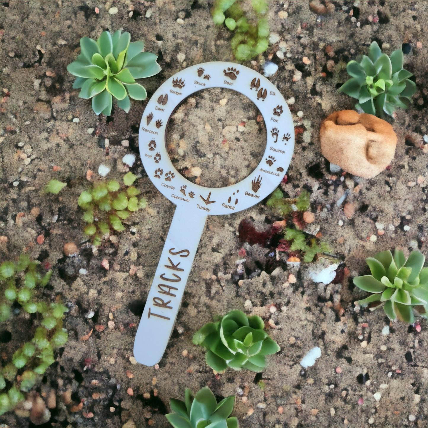 Bugs and Tracks Trackers