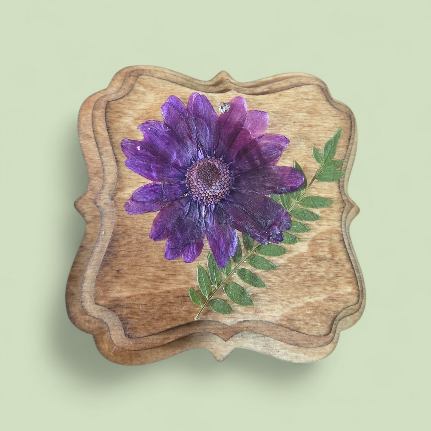 Grown-Up & Me Pressed Flower Wood Art Workshop | DIY Class at The Suite Spot on April 17th from 4-7 pm