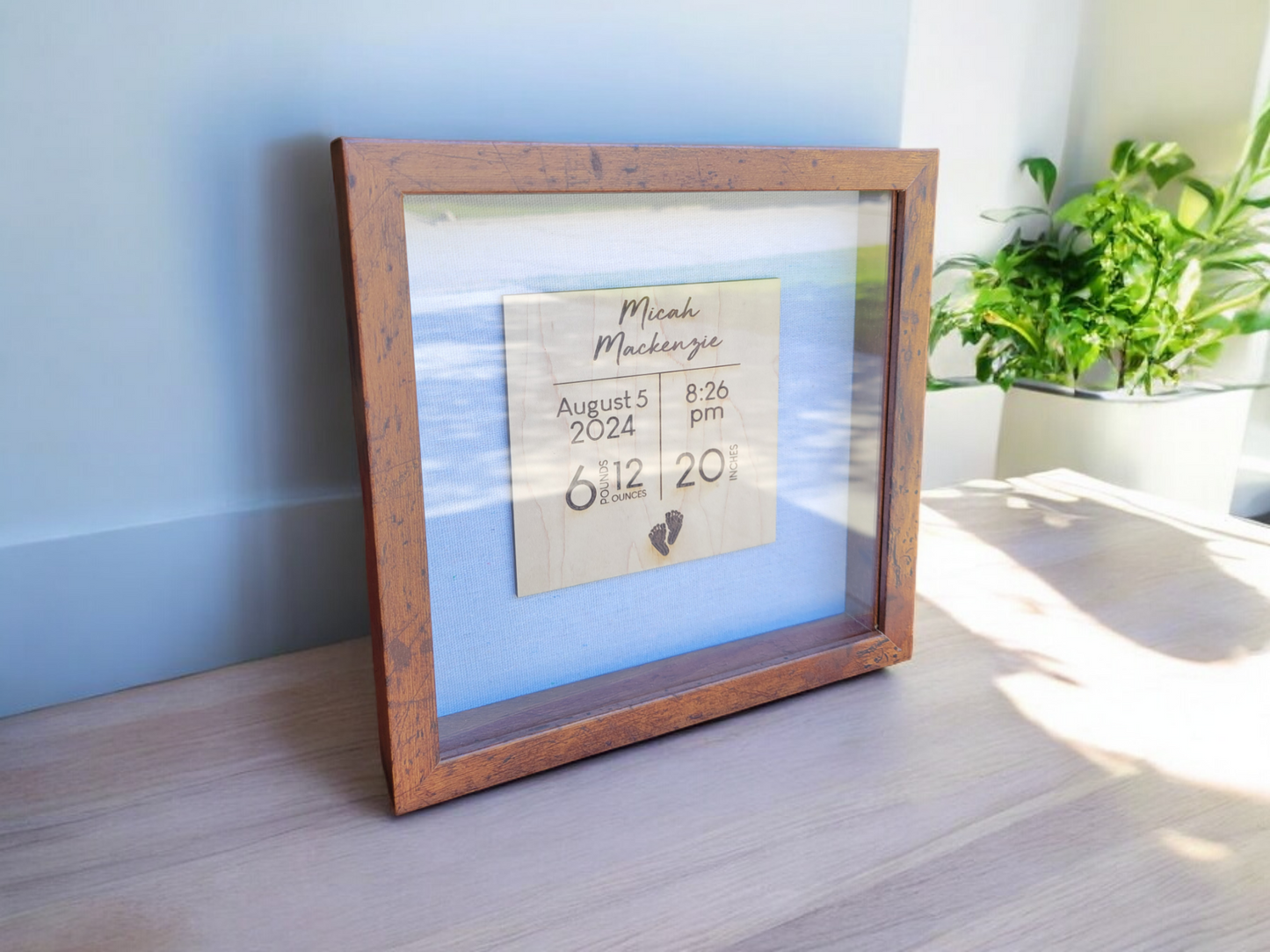 Baby Stat Shadow Box Frame