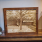 11" x 14" Etched Photo with Frame