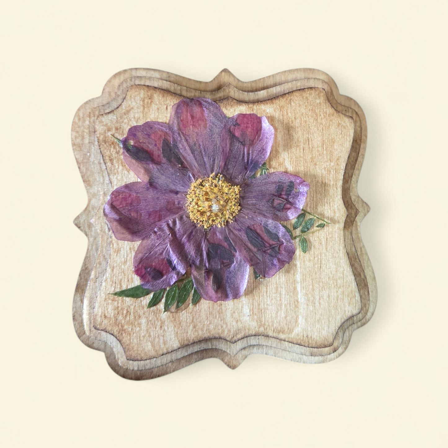 Grown-Up & Me Pressed Flower Wood Art Workshop | DIY Class at The Suite Spot on April 17th from 4-7 pm