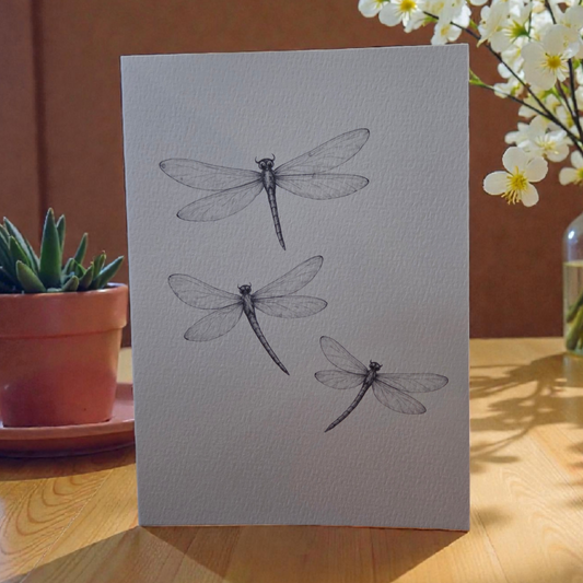 paint your own watercolor greeting card dragonflies 5x7