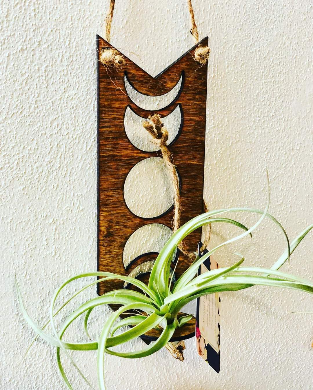 Moon Phases Air Plant Holder